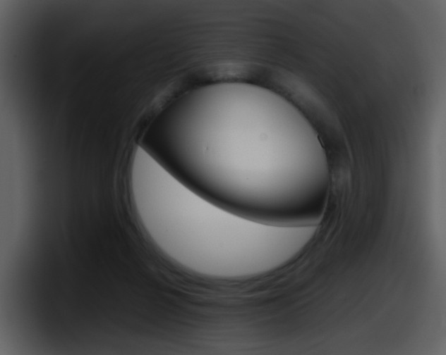X0000098100264200804040752