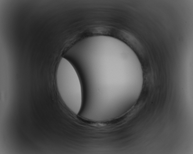 X0000098100265200804040752