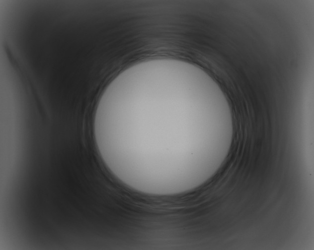 X0000098100268200804040752