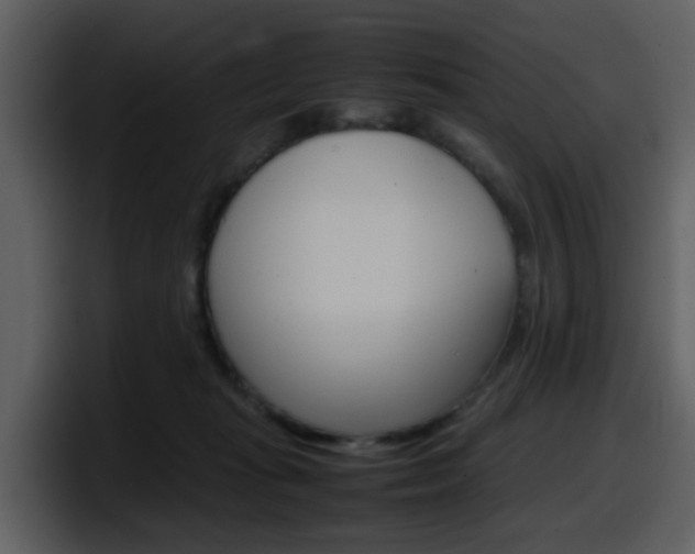 X0000098100269200804040752
