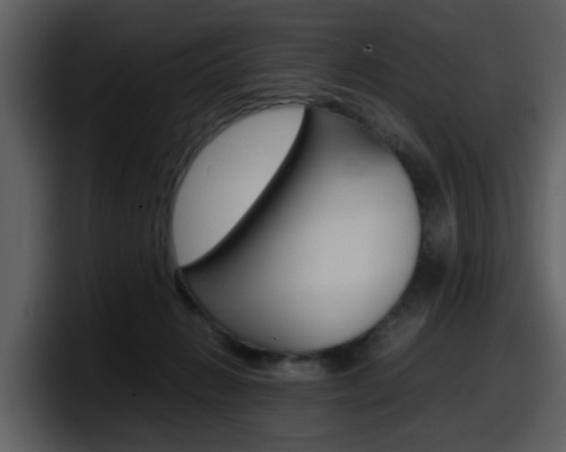 X0000098100270200804040752