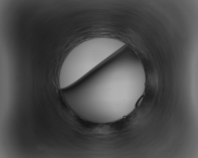 X0000098100271200804040752