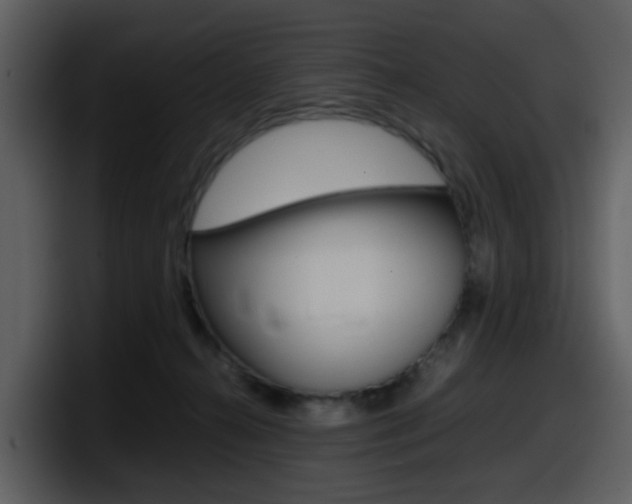 X0000098100272200804040752