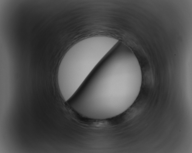 X0000098100274200804040752