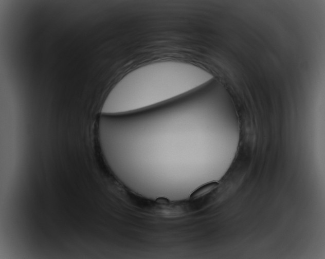 X0000098100275200804040752