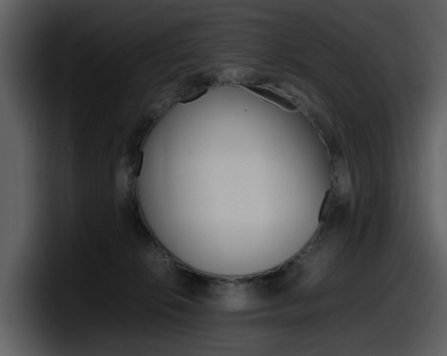 X0000098100276200804040752