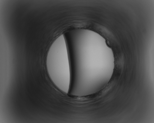 X0000098100277200804040752