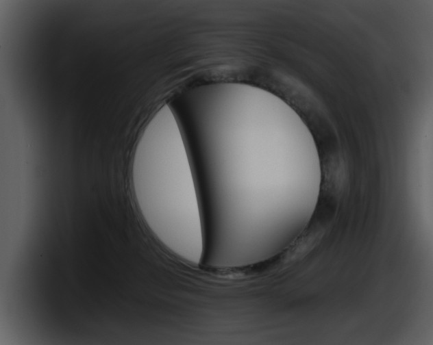 X0000098100278200804040752