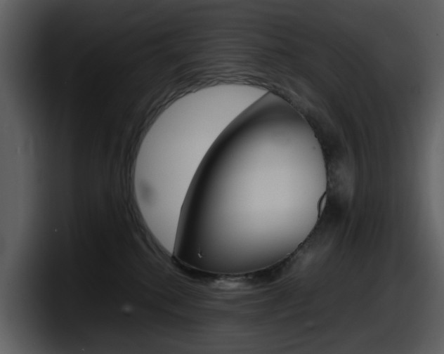 X0000098100280200804040752
