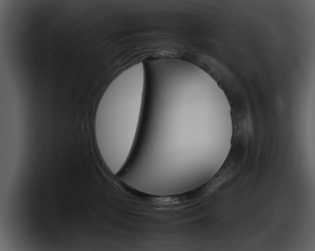 X0000098100281200804040752