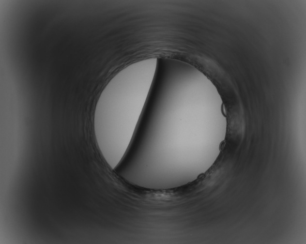 X0000098100282200804040752