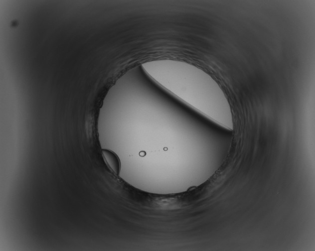 X0000098100283200804040752