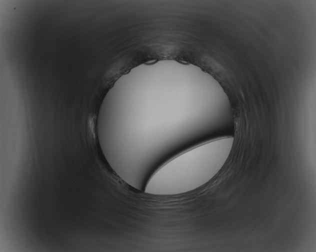 X0000098100286200804040752