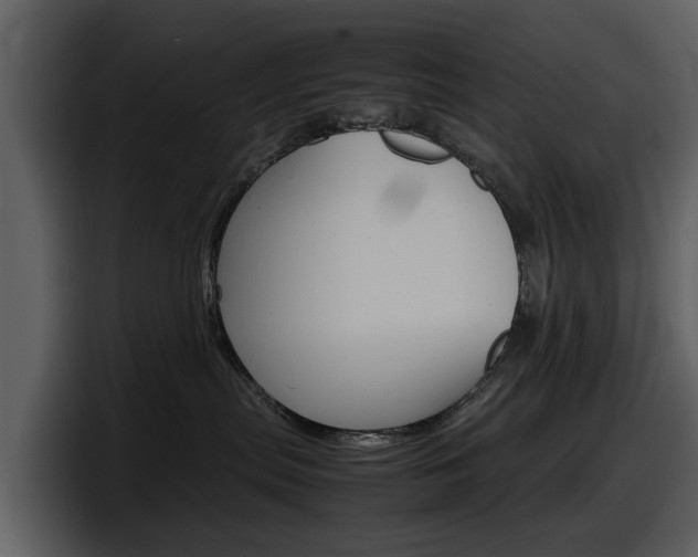 X0000098100287200804040752