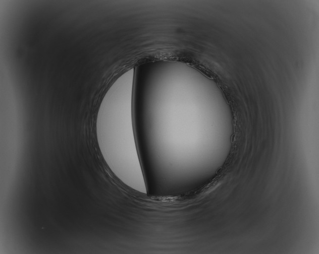 X0000098100288200804040752