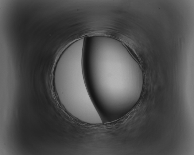 X0000098100289200804040752