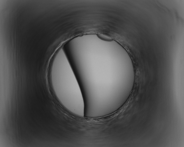 X0000098100290200804040752