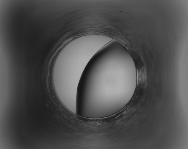 X0000098100291200804040752