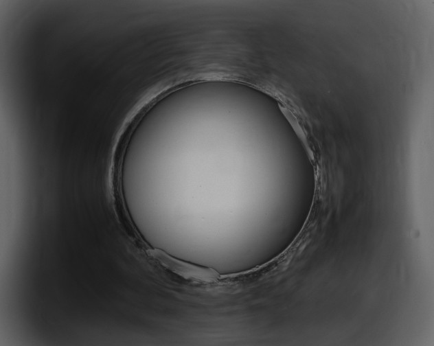 X0000098100292200804040752