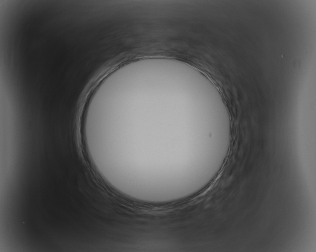 X0000098100293200804040752