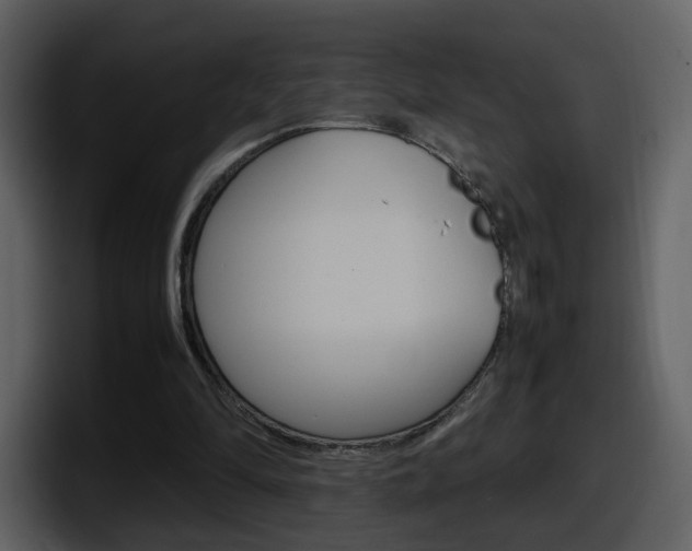 X0000098100294200804040752