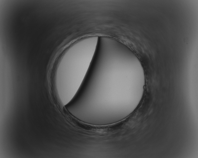 X0000098100295200804040752