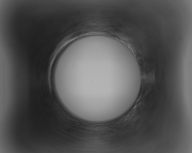 X0000098100296200804040752