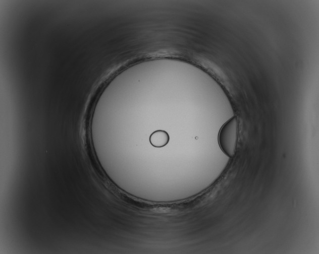 X0000098100298200804040752