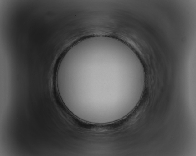X0000098100299200804040752