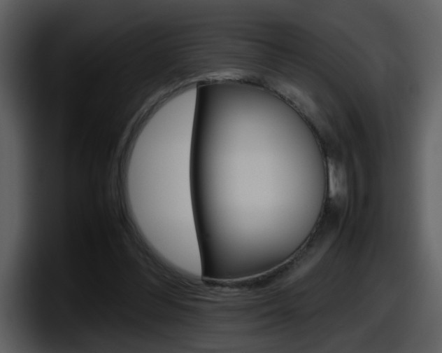 X0000098100300200804040752