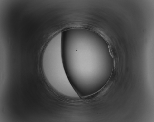 X0000098100301200804040752