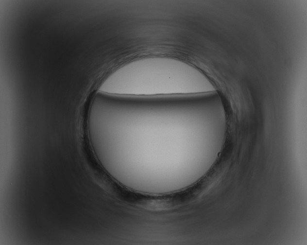 X0000098100303200804040752