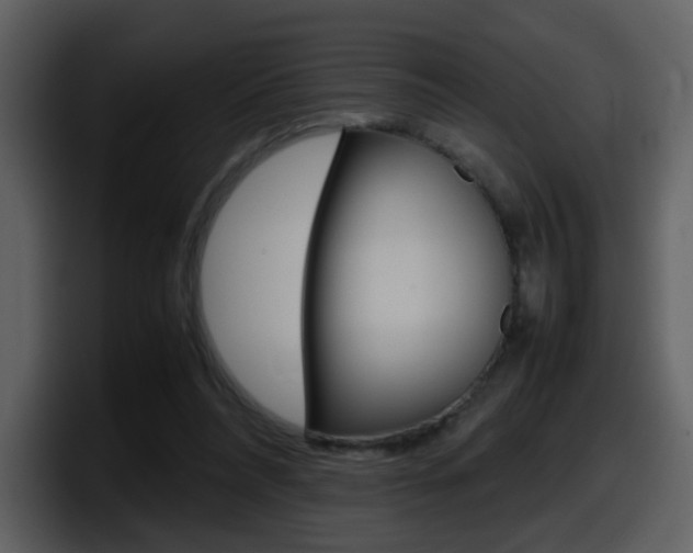 X0000098100304200804040752
