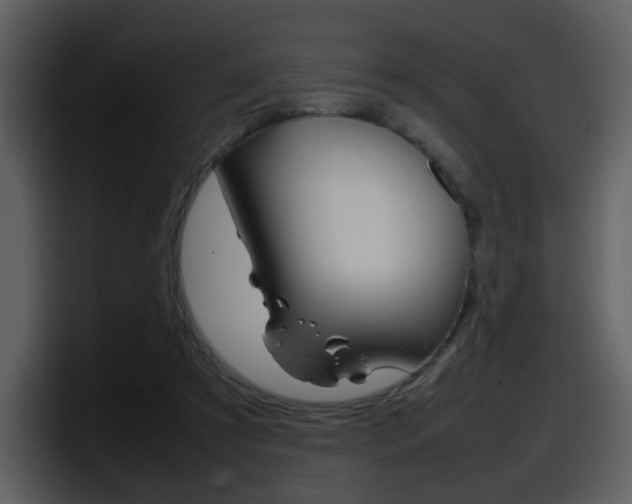 X0000098100305200804040752
