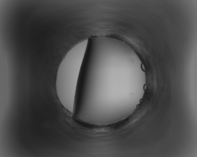 X0000098100307200804040752