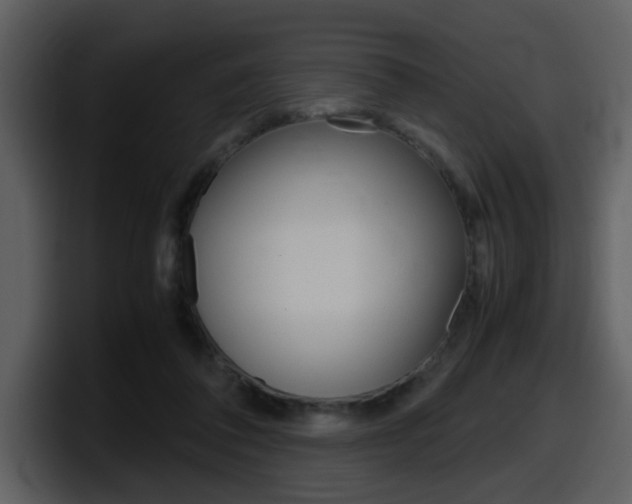 X0000098100308200804040752