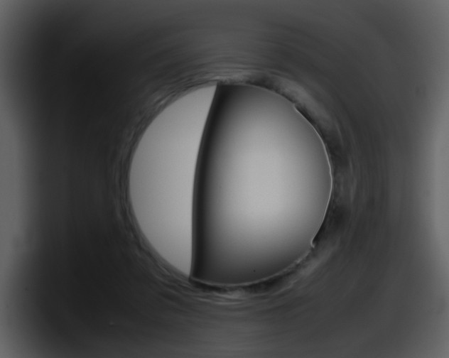 X0000098100309200804040752