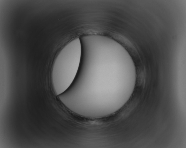 X0000098100310200804040752
