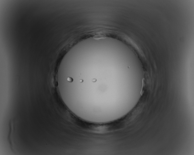 X0000098100313200804040752