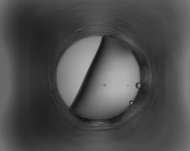 X0000098100315200804040751