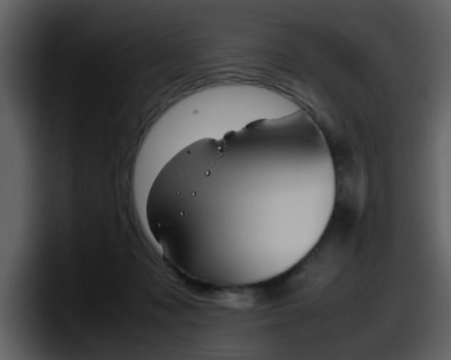 X0000098100317200804040751