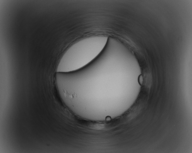 X0000098100318200804040751