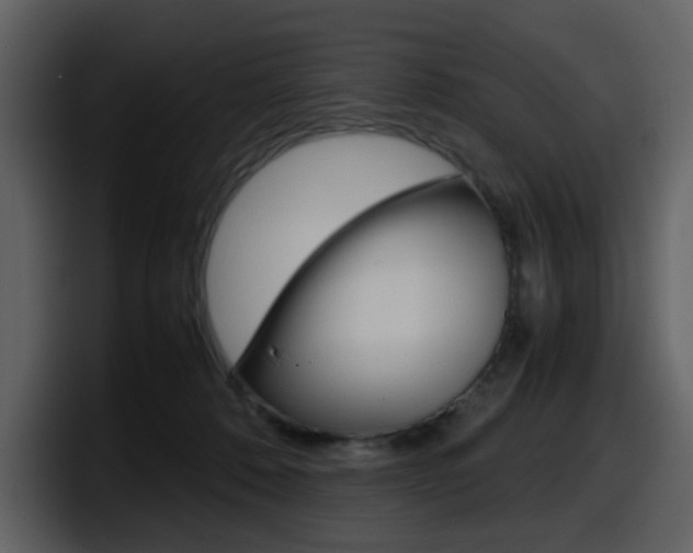 X0000098100320200804040751