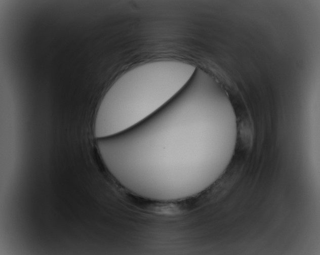 X0000098100322200804040751