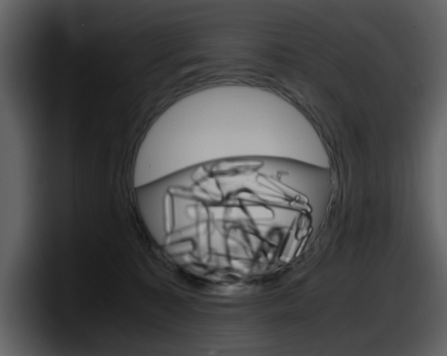 X0000098100323200804040751