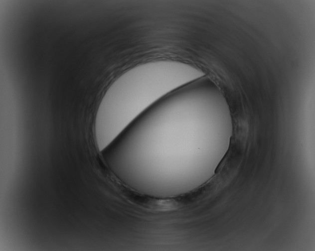 X0000098100324200804040751