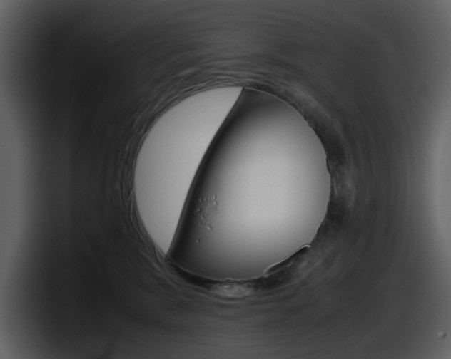X0000098100327200804040751