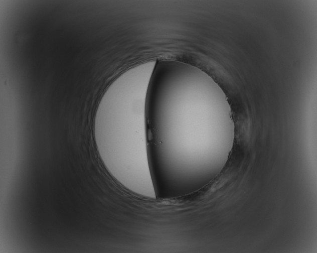 X0000098100329200804040751