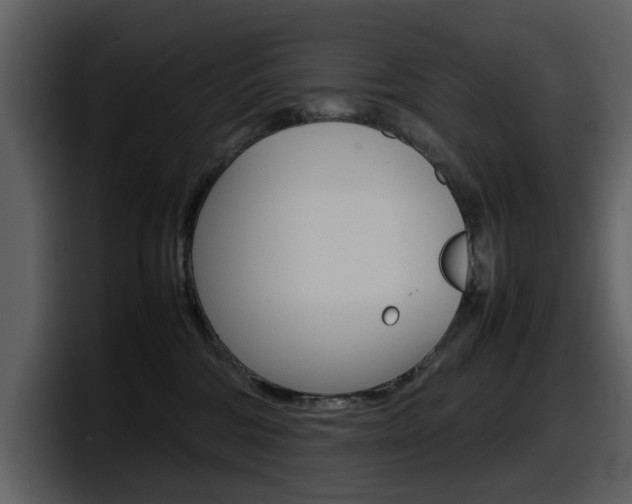 X0000098100330200804040751
