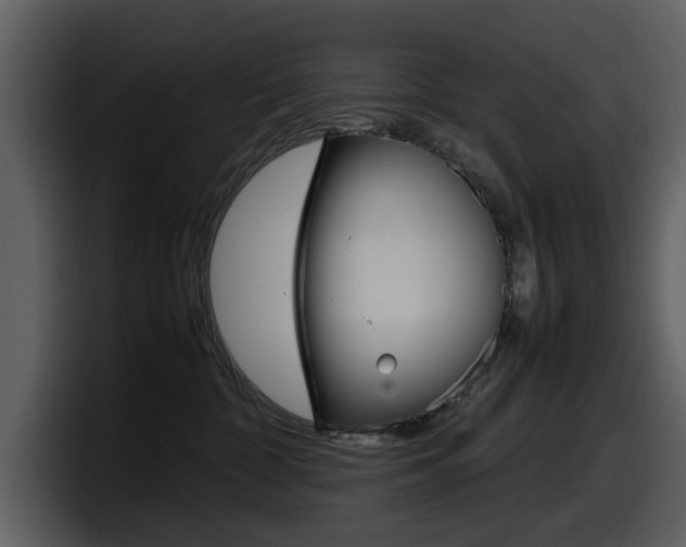 X0000098100332200804040751